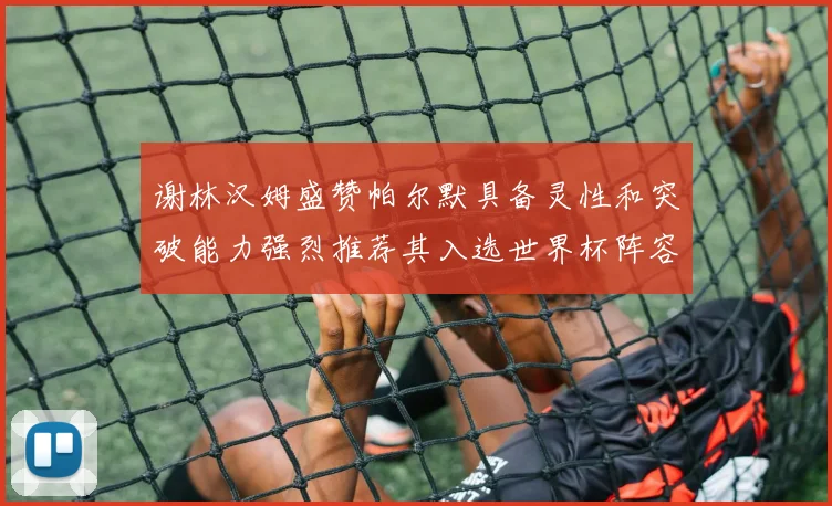 谢林汉姆盛赞帕尔默具备灵性和突破能力强烈推荐其入选世界杯阵容