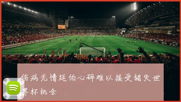 伤病无情廷伯心碎难以接受错失世界杯机会